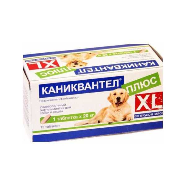 Не так страшен глист: не впадайте в паразитофобное безумие — cmt научный подход