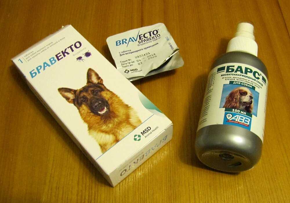 ❶ привики от клещей для собак: топ-3 вакцин по отзывам заводчиков