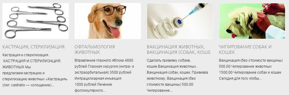 Прививки собакам по возрасту таблица - цена в zoostatus