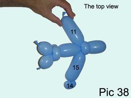 Как сделать из шарика собачку пуделя (пошаговое фото и видео урок)