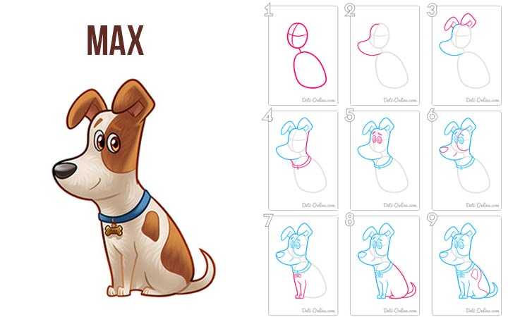 Раскраска собака — полезные советы как нарисовать собаку. инструкция с основными шагами рисования для детей, фото. как быстро и легко нарисовать собаку: поэтапные схемы