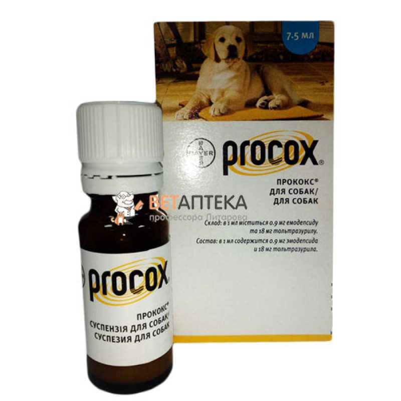 Прококс для собак: инструкция и показания к применению, отзывы, цена