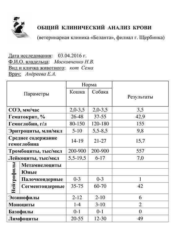 Анализы гипотиреоза ттг т4 у животных: собак кошек и др в россии