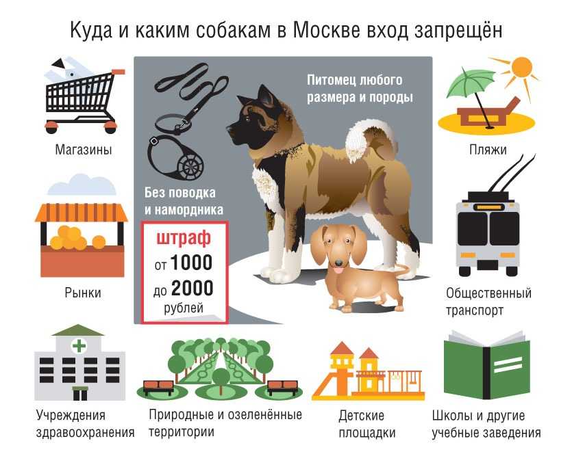 Закон о выгуле собак в россии на 2020