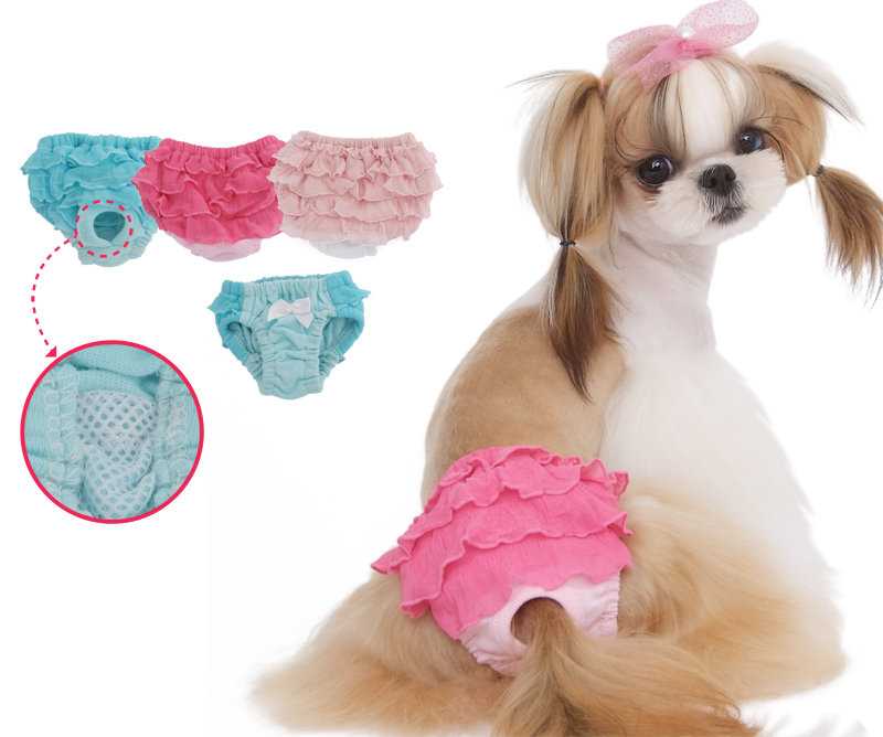Как сшить одежду для маленькой собаки: выкройка, фото лучших моделей. построение выкройки для одежды для собак любой породы: общие рекомендации, построение сетки