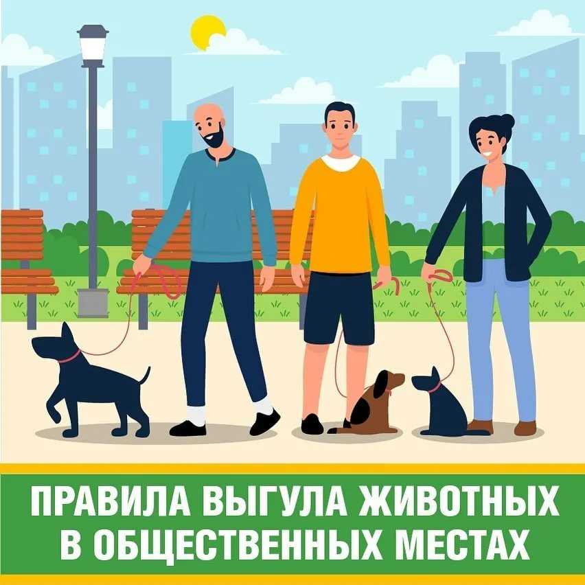 Закон о домашних животных в россии — что ждет владельцев кошек и собак в 2021 году