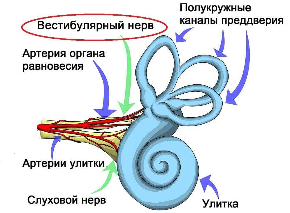 Вестибулярный нейронит, острая периферическая вестибулопатия