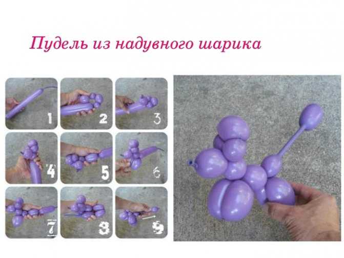 Как сделать собачку из шарика-колбаски: поэтапная схема