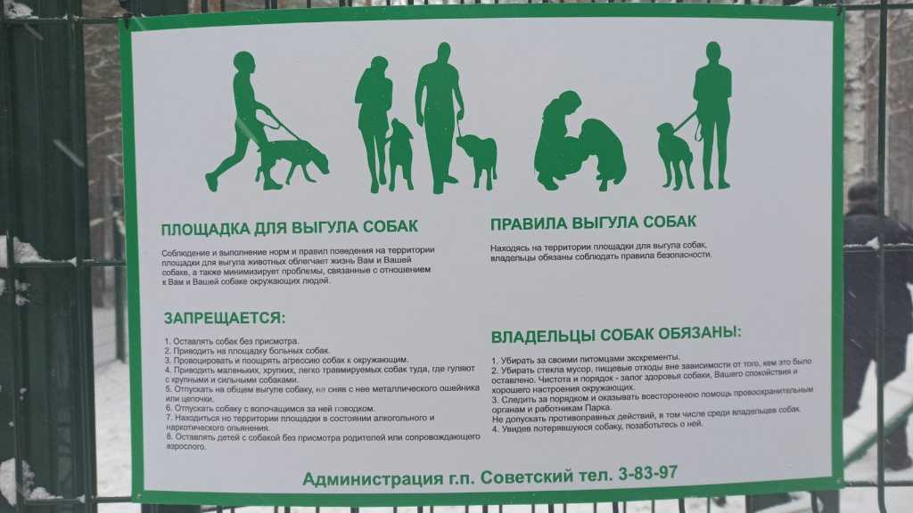 Правила и закон рф о выгуле собак 2019-2020 запреты ограничения и нормы |
            goodoger