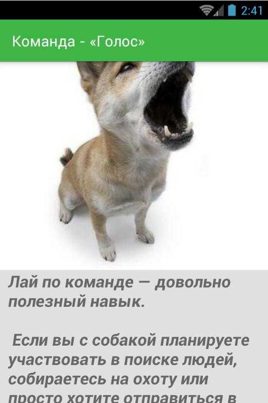 Голосовой собаки