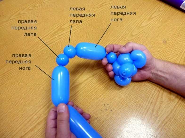 Создаем праздник своими руками. как сделать из шарика собаку? :: syl.ru