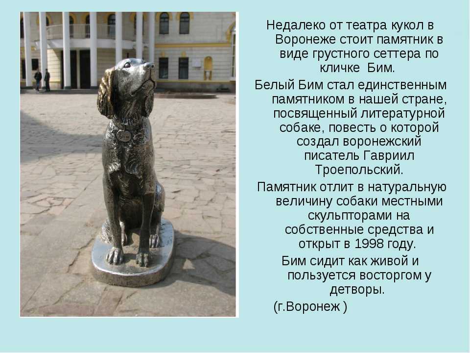 Известные памятники собакам в россии и не только