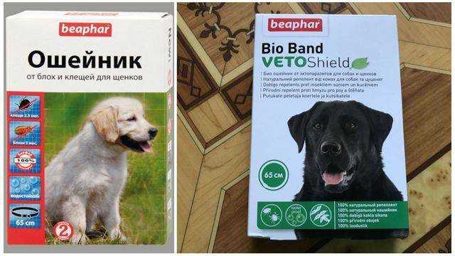 Лучшие препараты для собак от клещей и блох