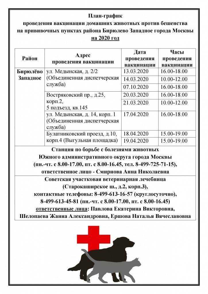 Вакцинация собак в москве по цене от 650 рублей | ветклиника зоостатус