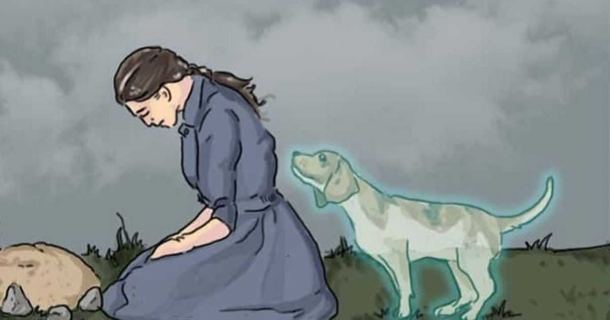 Как пережить смерть собаки: советы психологов | блог ветклиники "беланта"