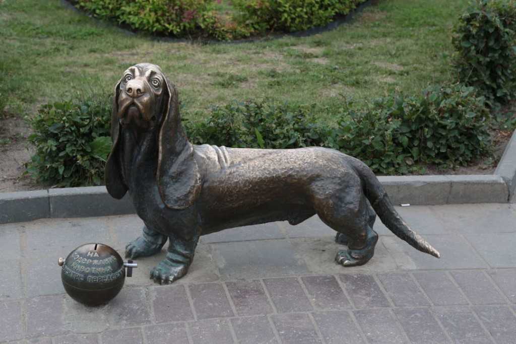 ᐉ 12 самых известных памятников собакам в россии и мире - kcc-zoo.ru