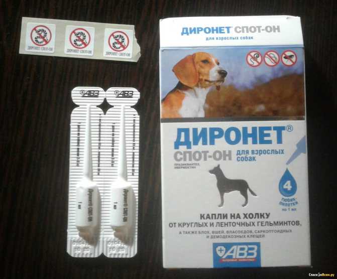 Диронет для собак: инструкция по применению, показания и побочные действия, срок хранения - kotiko.ru