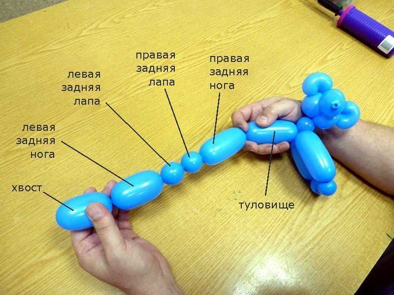Как сделать собаку из шарика-колбаски | схема