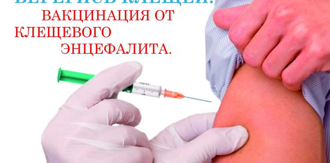 Прививка от клеща вакцины