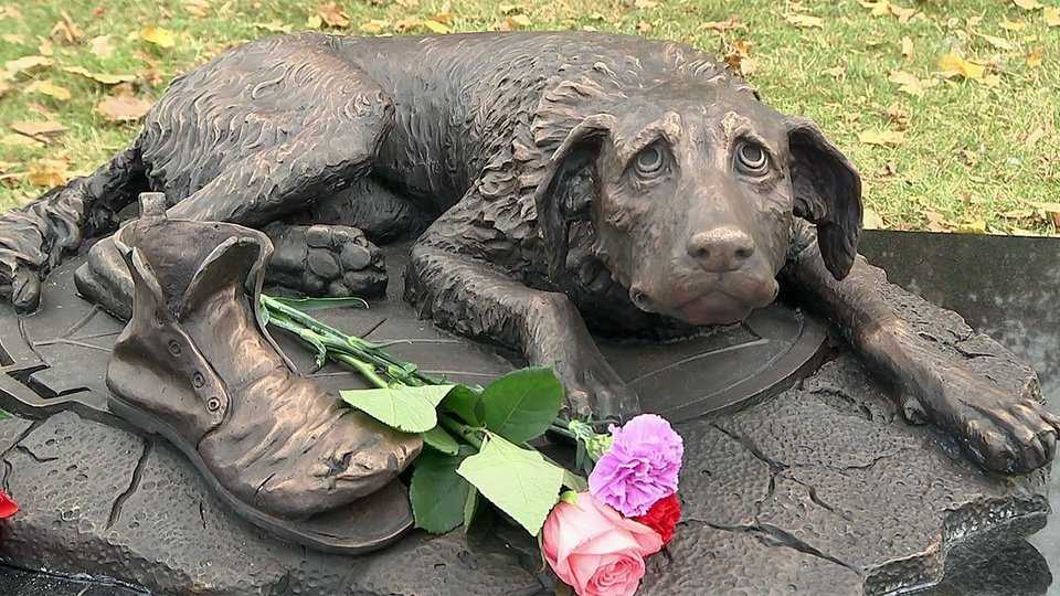 Памятники собакам: где стоят и за что | блог ветклиники "беланта"