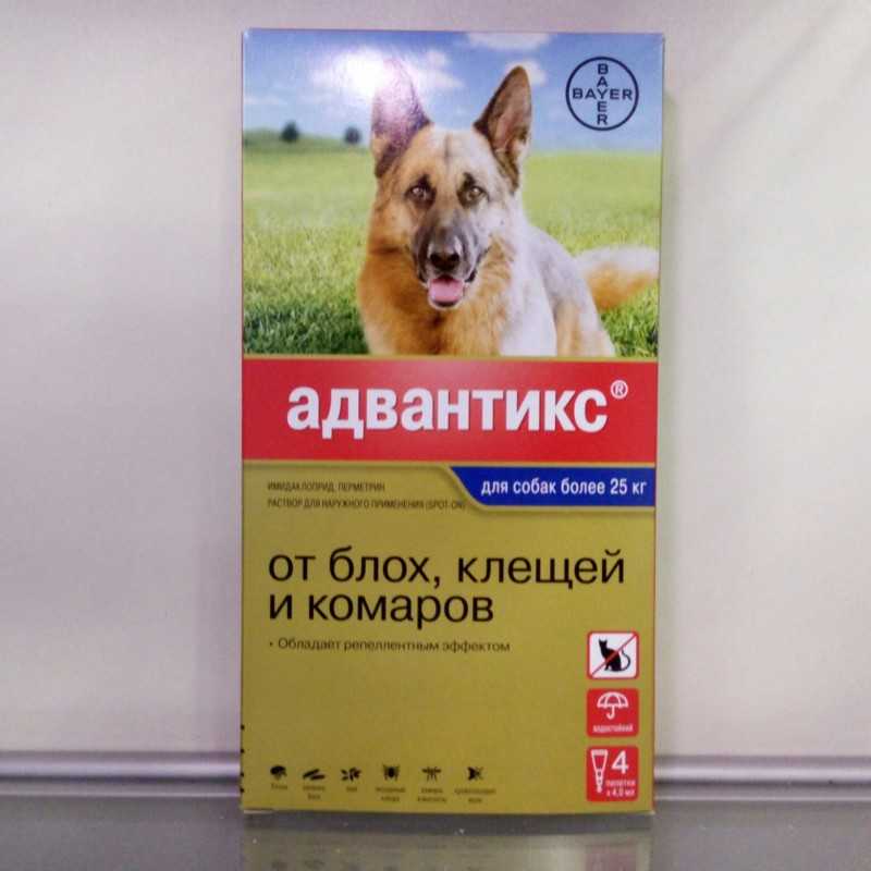 Адвантикс для собак: инструкция по применению, цена, отзывы