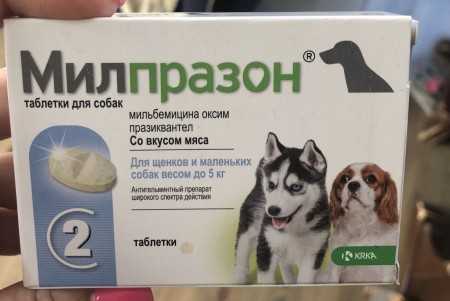 Тронцил для собак: инструкция по применению с ценой и отзывами. как давать эти таблетки от глистов щенкам?