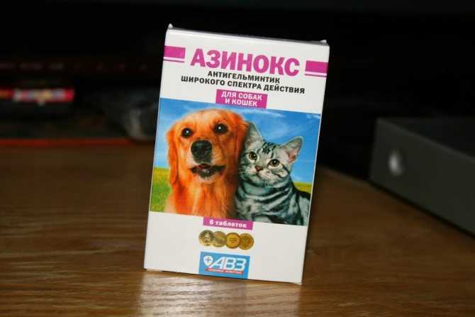 Азинокс плюс для собак – надежная защита от глистов