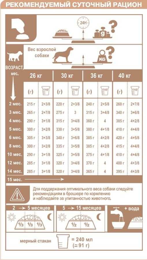 Как рассчитать рацион питания собаки по таблице?