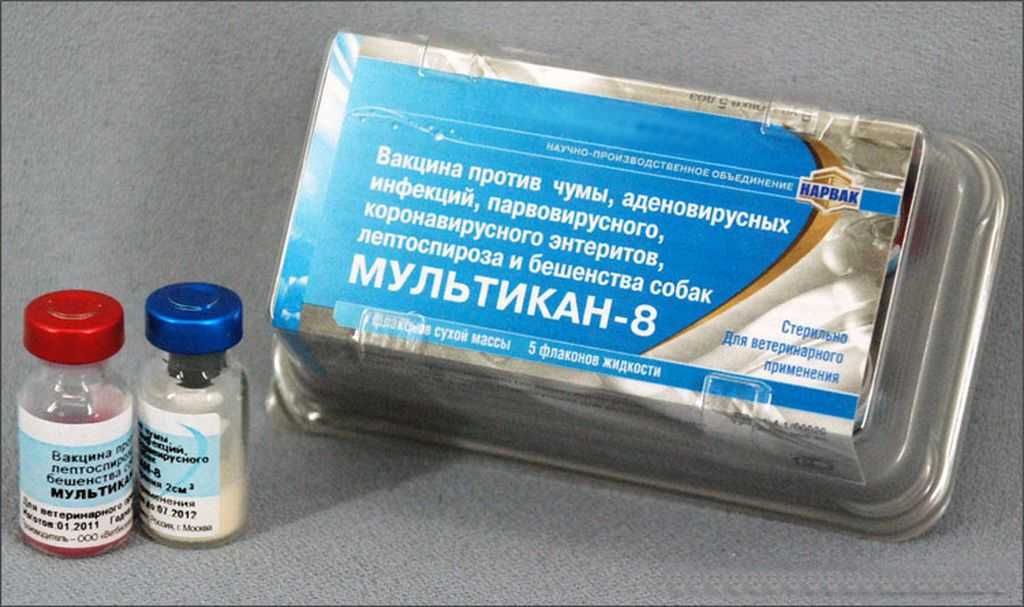 Мультикан 4: инструкция по применению вакцины для собак и щенков, дозировка и показания к использованию - kotiko.ru