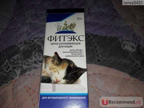Успокоительное для кошек: капли, спрей, таблетки, уколы, отзывы