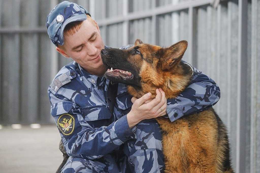 «новый зоозащитный закон используют против волонтеров». в белгороде суд обязал активистку ликвидировать приют для бездомных животных
