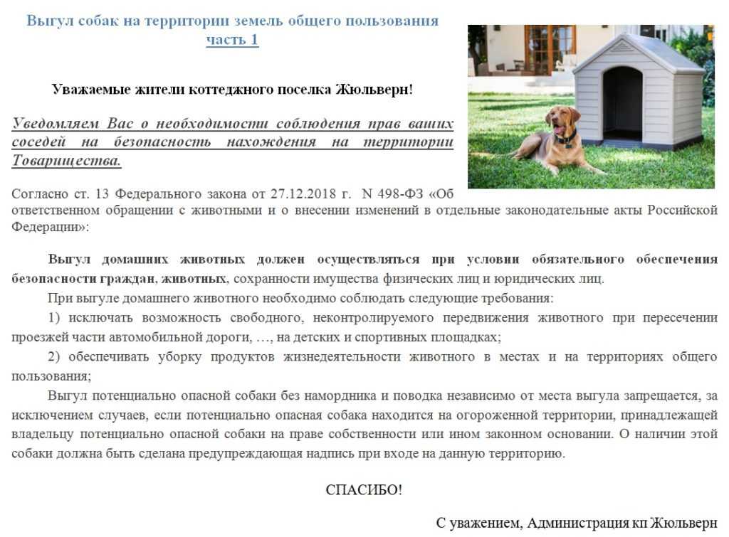 Новые правила содержания домашних животных в россии и наказания для хозяев
