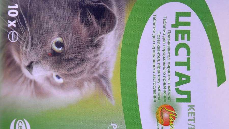 Цестал кэт / cestal cat (таблетки) для кошек | отзывы о применении препаратов для животных от ветеринаров и заводчиков