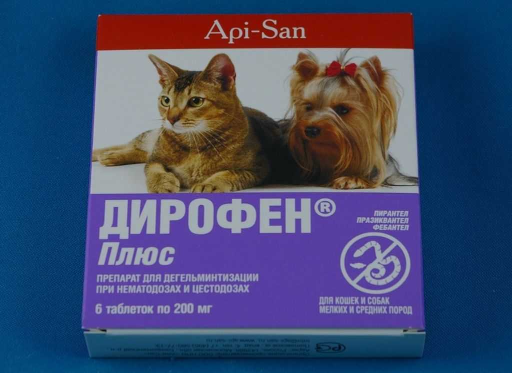 Антигельминтный препарат Дирофен для кошек: состав и формы выпуска, показания и инструкция по применению, противопоказания, отзывы, цена