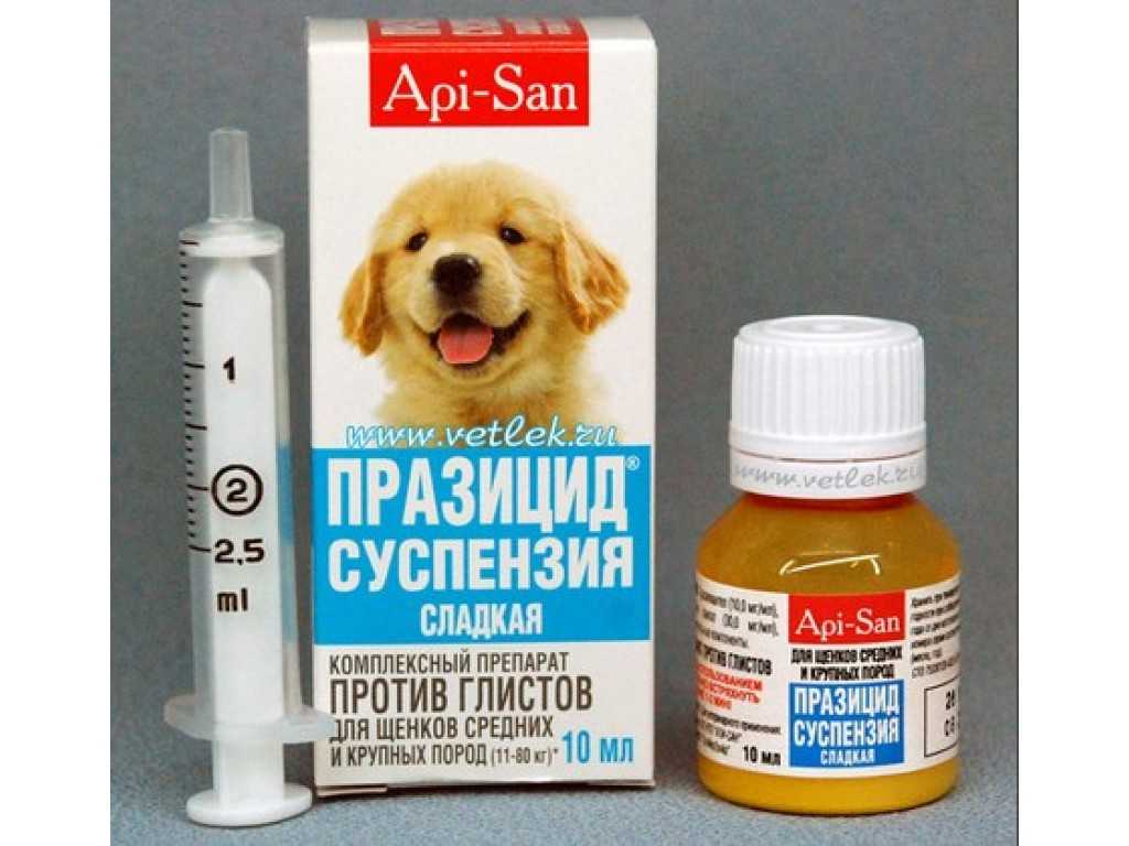 Анальгин для собак: инструкция по применению, дозировка, лечебный эффект, отзывы