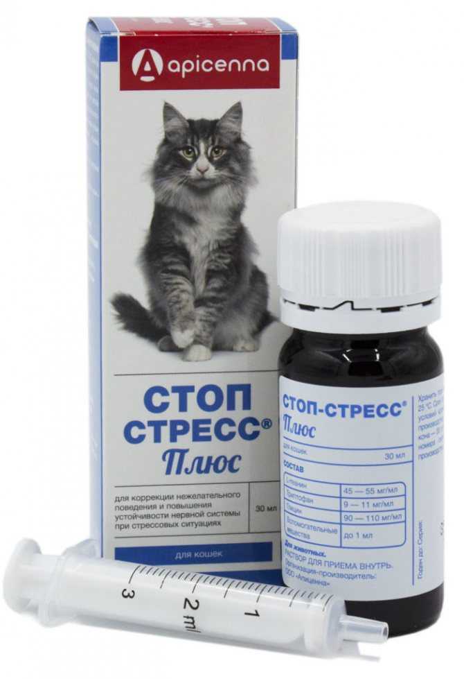 Успокоительное для кошек: обзор эффективных препаратов при течке и стрессе