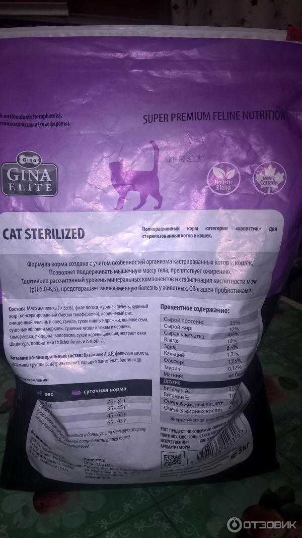 Корм джина (gina) для кошек