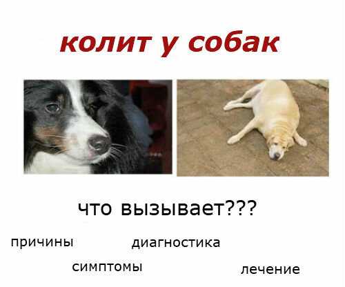 Правильная помощь при кишечном коронавирусе | стимбифид плюс