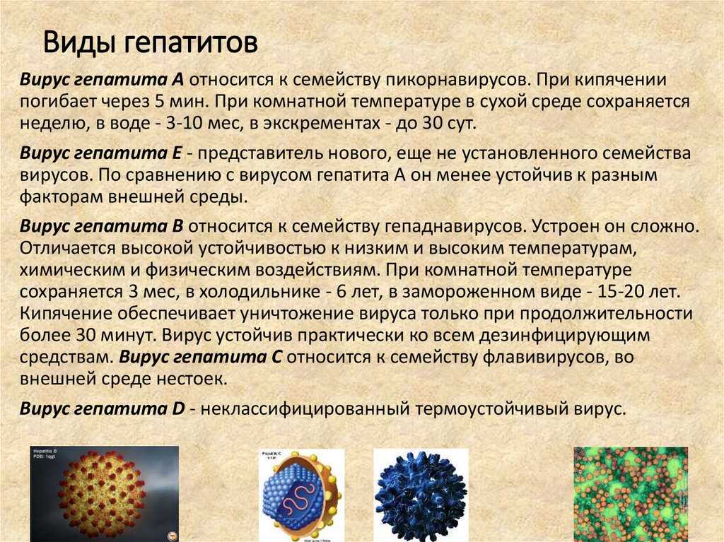 Гепатит б россия. Вирус гепатита в. Типы вирусных гепатитов. Вирусные гепатиты разновидность. Вирус гепатита а форма.
