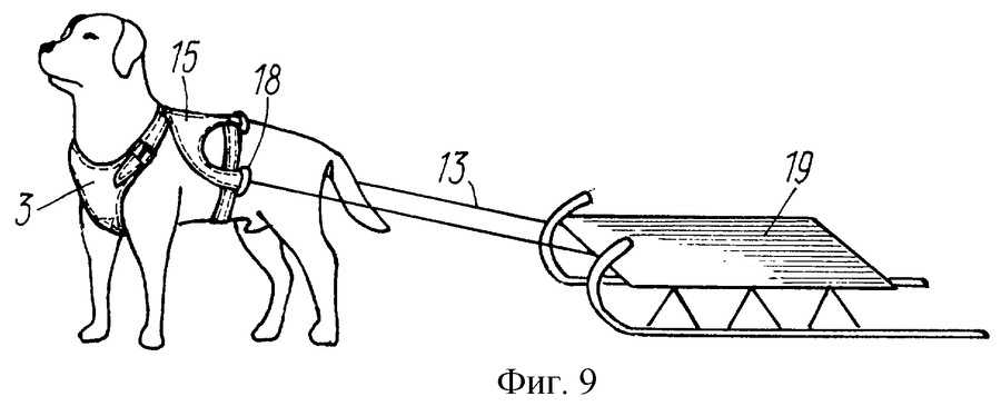 Как сделать шлейку для собаки своими руками в домашних условиях: для ездовых пород