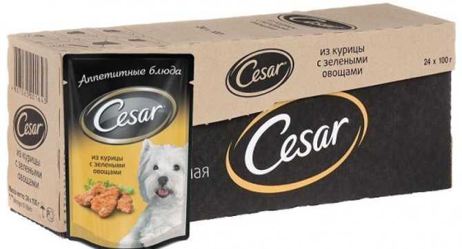 Корм для собак cesar (цезарь): состав, отзывы, производитель