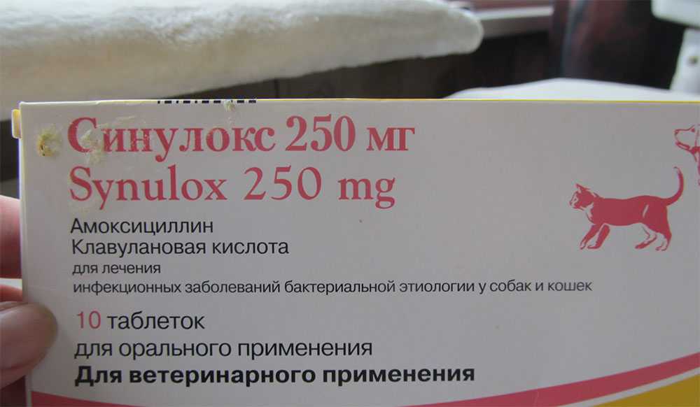 Амоксициллин (amoxicillin)