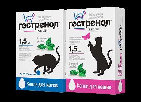 Гестренол для кошек и котов: инструкция по применению средства в форме капель и таблеток, отзывы, аналоги