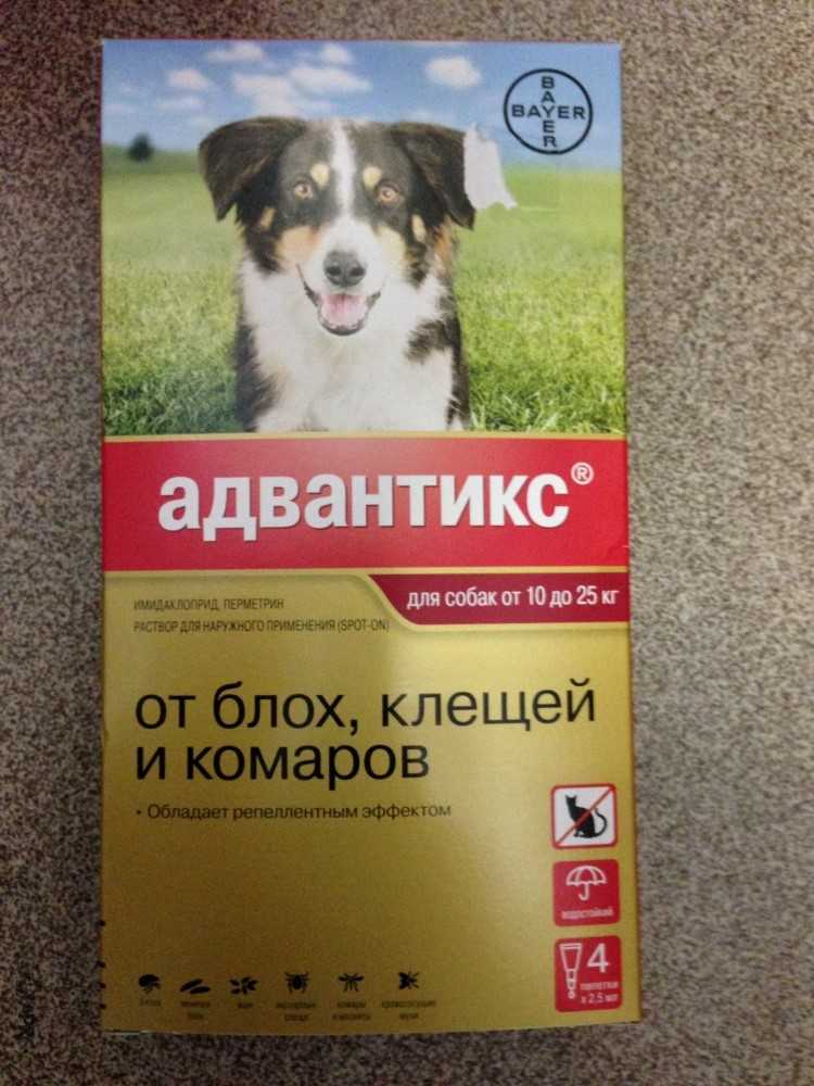 Адвантикс для собак: инструкция по применению | цена, отзывы