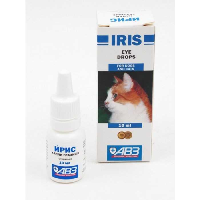Глазные капли Ирис для кошек оказывают антибактериальное и противовоспалительное действие. Данный лечебный препарат применяется, как для профилактики, так и для терапии офтальмологических патологий.