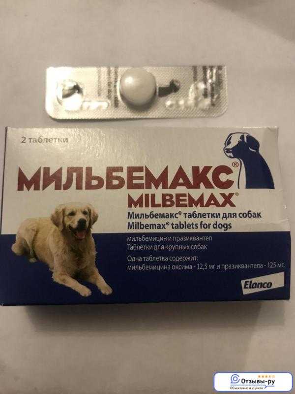 Мильбемакс – антигельминтное средство для собак