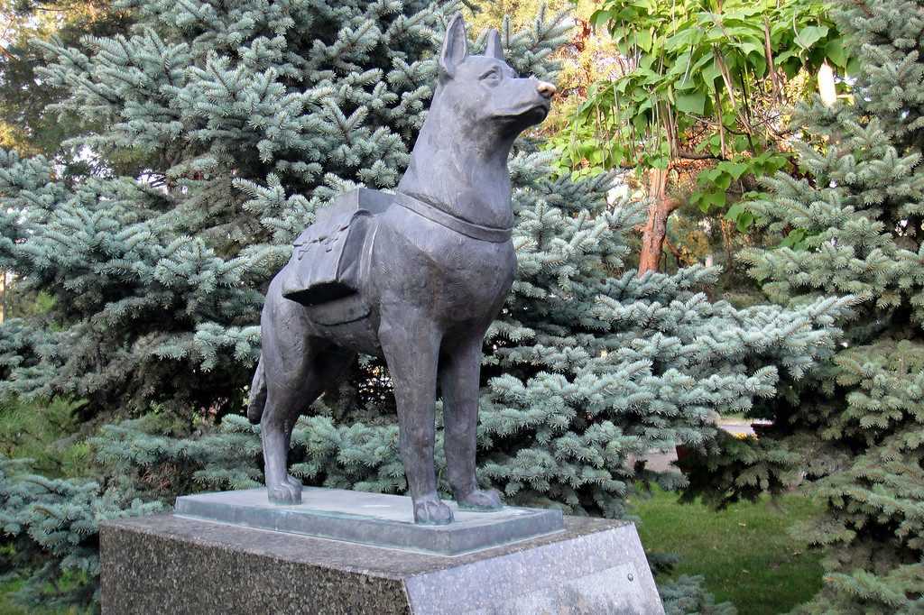 Памятники собакам в россии | в москве, фото и описание