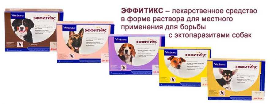 Эффитикс для собак: инструкция по применению, дозировка, ограничения и отзывы