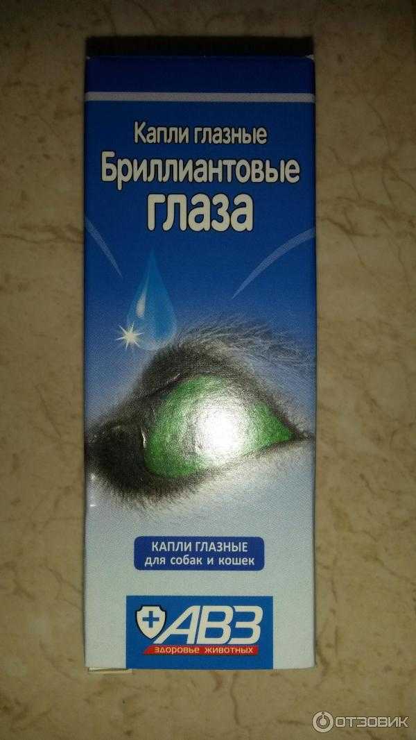 Бриллиантовые глаза — капли для кошек