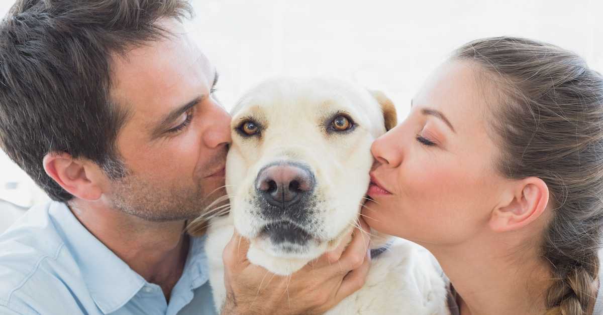 7 признаков, как понять, что собака любит хозяина
